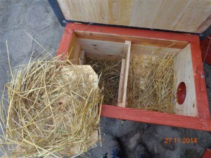 Danziger Katzenhaus - Innenansicht