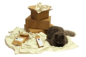 kätts-Chefkatze Felina präsentiert das Verpackungsmaterial von kätts: Papier und Pappe